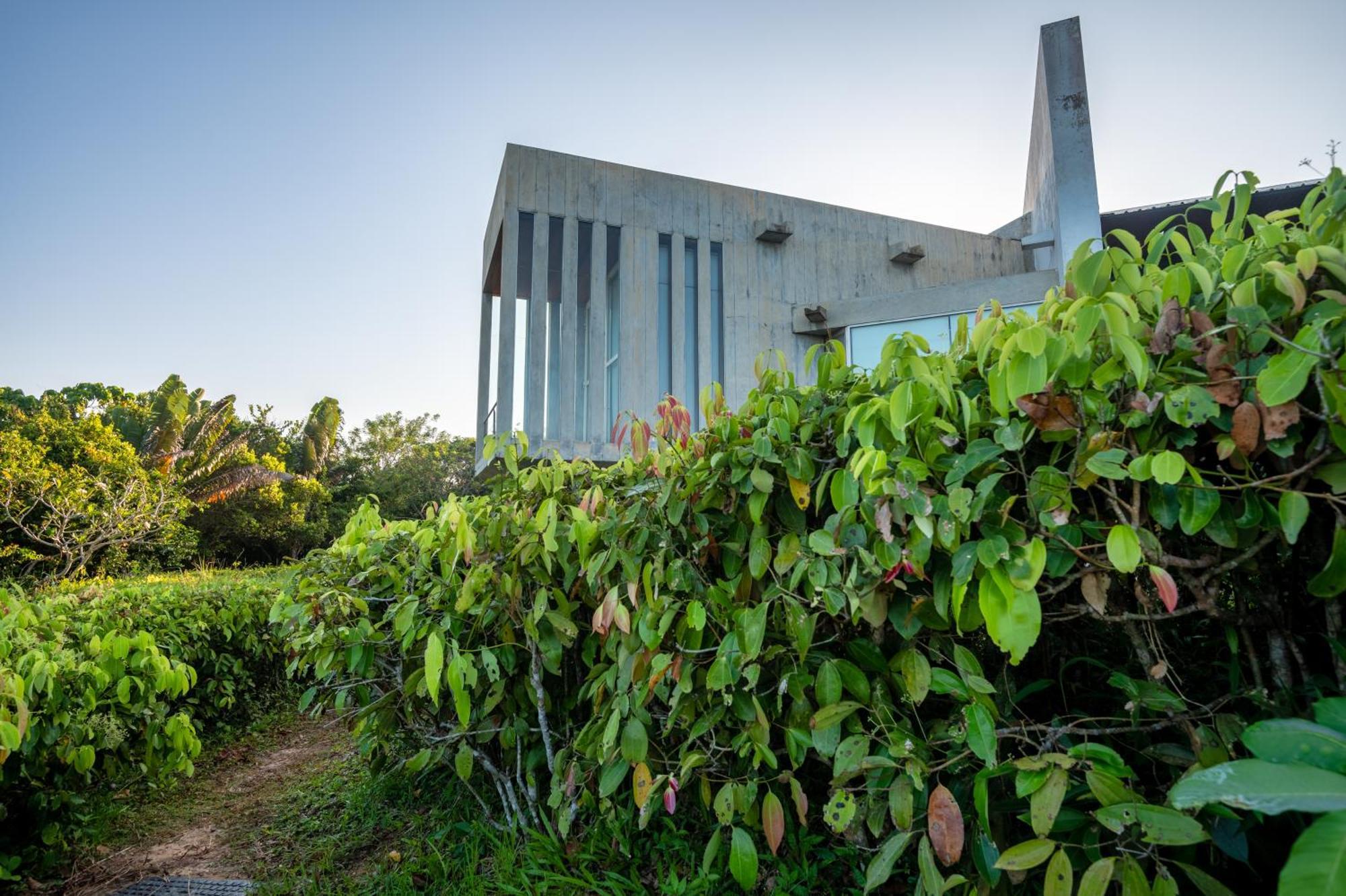 Villa Vista By The Serendipity Collection Mirissa Buitenkant foto